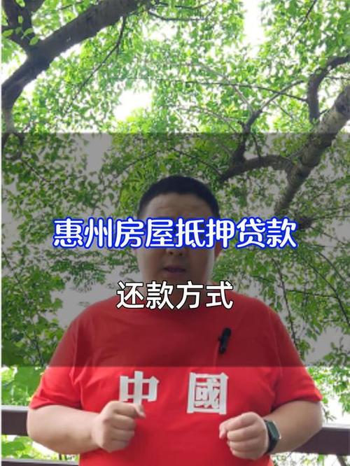 惠州龙门汽车抵押贷款公司的服务特点(惠州龙门汽车文化园)